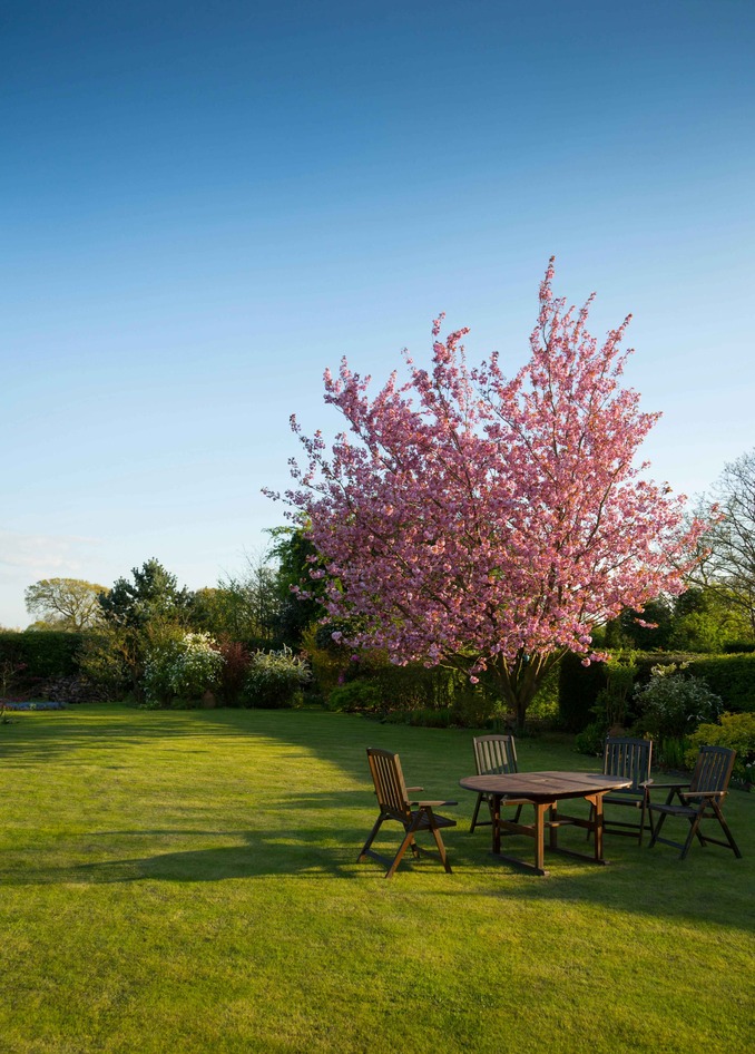 Gardening Services